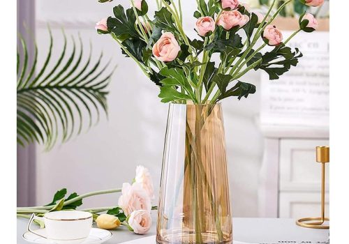 IMG_20251208_195052_916